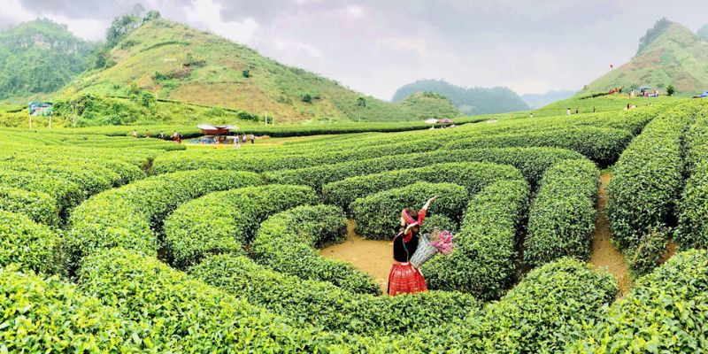 Du lịch mộc châu