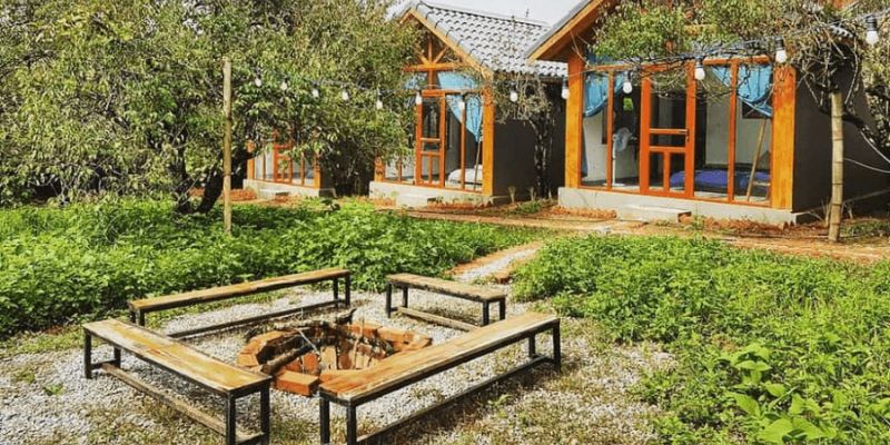 Homestay và lưu trú tại Mộc Châu