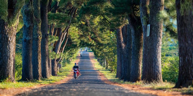 Phương tiện di chuyển đến Gia Lai
