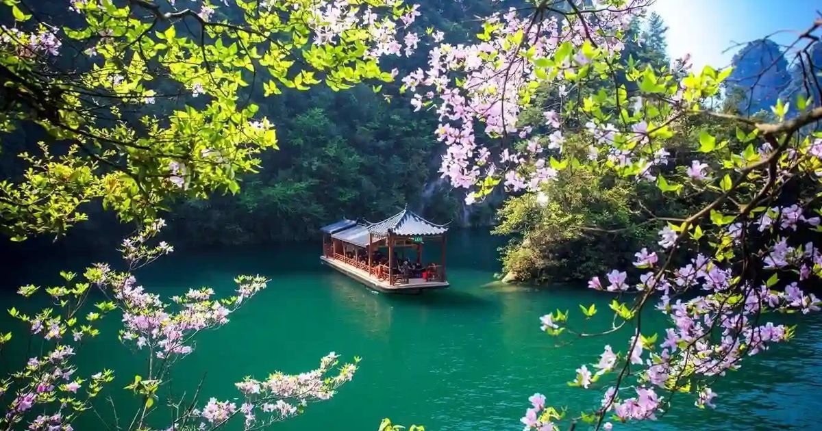 Hướng dẫn chi tiết kinh nghiệm du lịch Trương Gia Giới tự túc từ A-Z