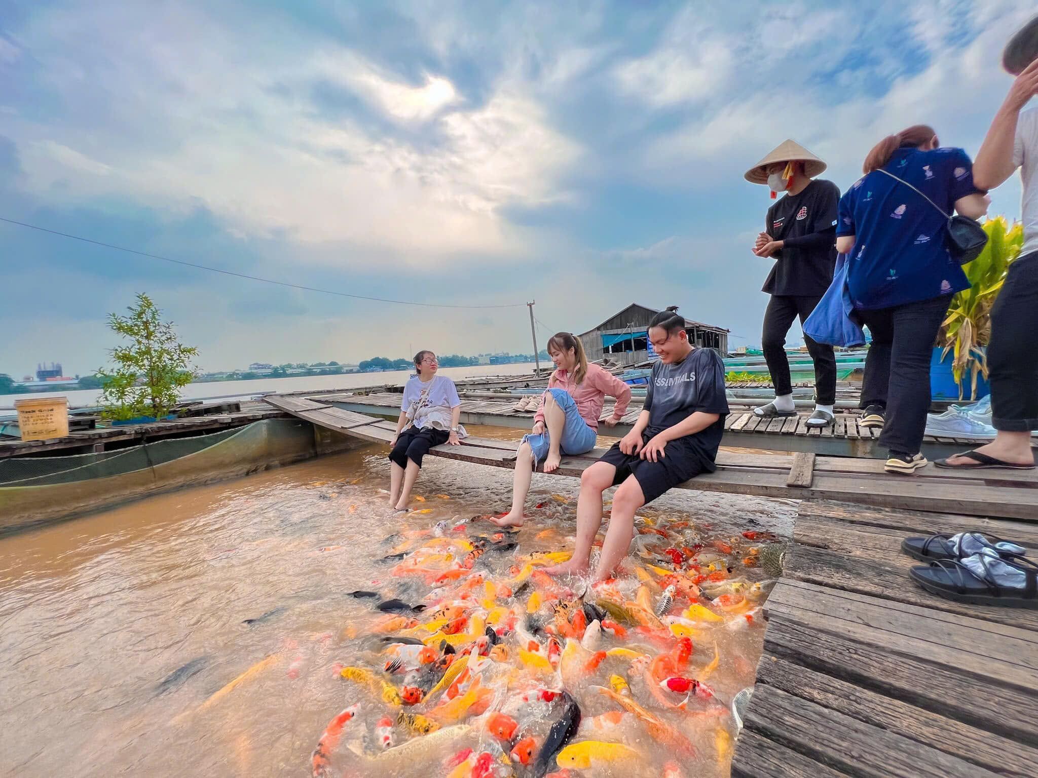 Hướng dẫn chi tiết lịch trình tham quan và trải nghiệm tại Cồn Sơn