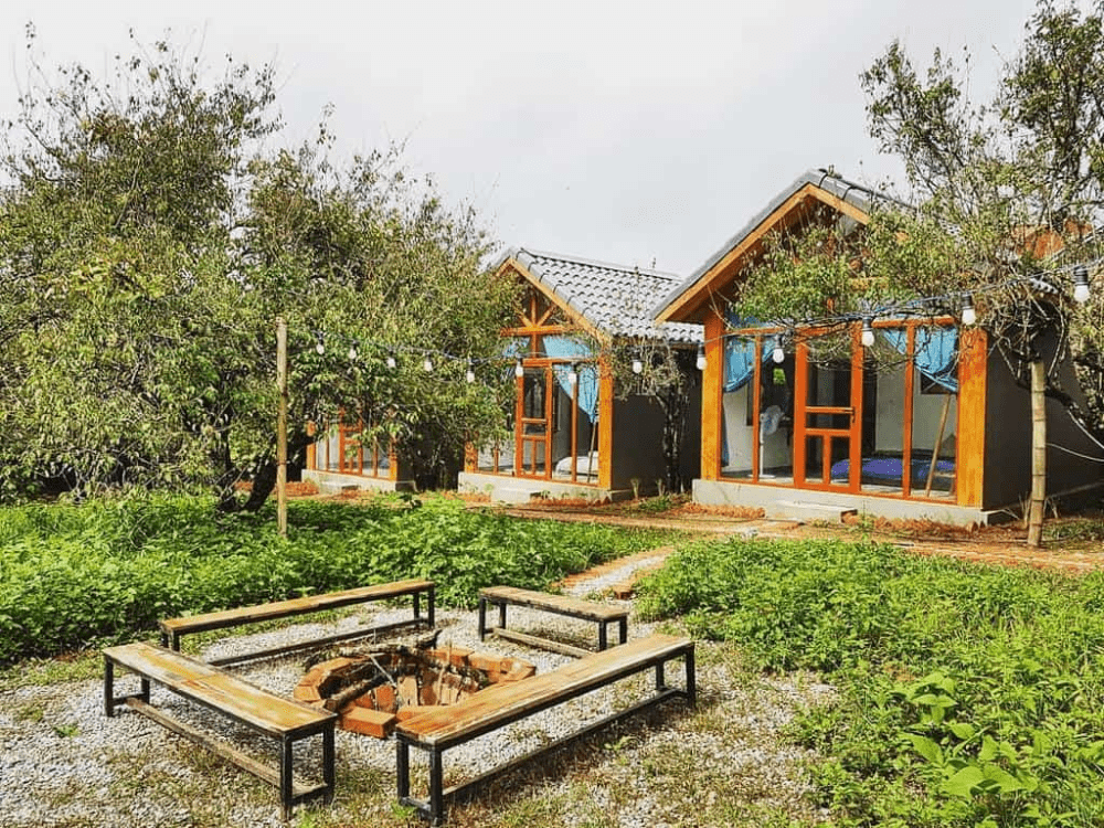 Hướng dẫn chọn homestay và lưu trú tại Mộc Châu
