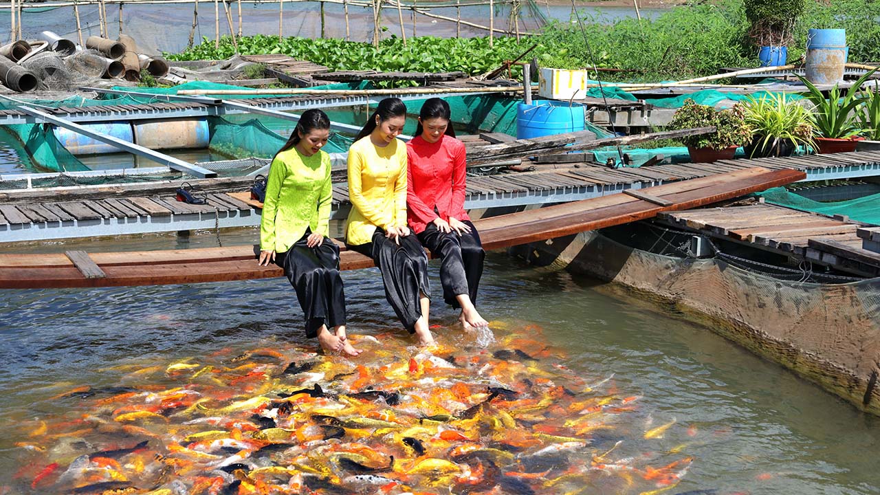 Khám phá các điểm tham quan hấp dẫn trong khu du lịch Cồn Sơn