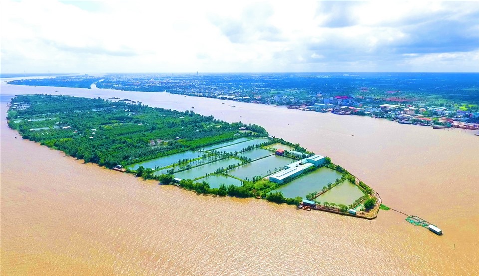 Khám phá vẻ đẹp hoang sơ của Cồn Sơn - điểm đến du lịch sinh thái hấp dẫn tại Cần Thơ