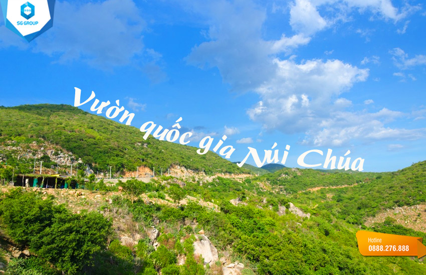 Khám phá vẻ đẹp hoang sơ của khu du lịch sinh thái Núi Chúa Ninh Thuận