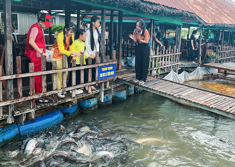 Thông tin hữu ích cho du khách khi đến Cồn Sơn